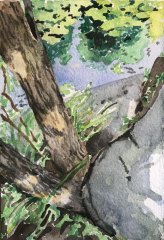 1/ Caldwell Lily Pond VII