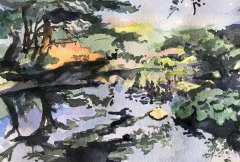 1/ Chicago Botanic Garden