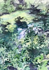 1/ Lily Pond Lincoln Park